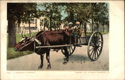 A Horseless Carriage Black Americana Postcard Postcard