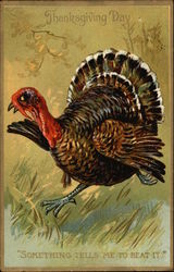 Thanksgiving Day - "Something tells me to beat it." Turkeys Postcard Postcard