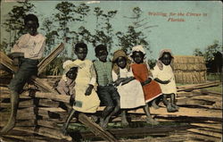 Waiting for the Circus in Florida Postcard