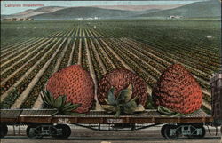 California Strawberries California Strawberries