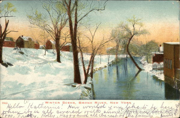 Winter Scene on the Bronx River New York