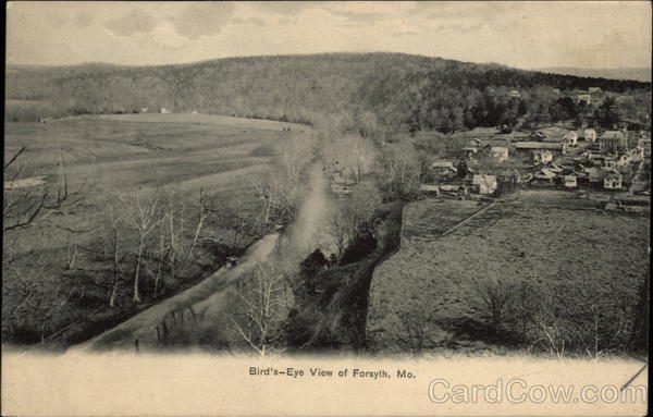 Bird's Eye View Forsyth Missouri
