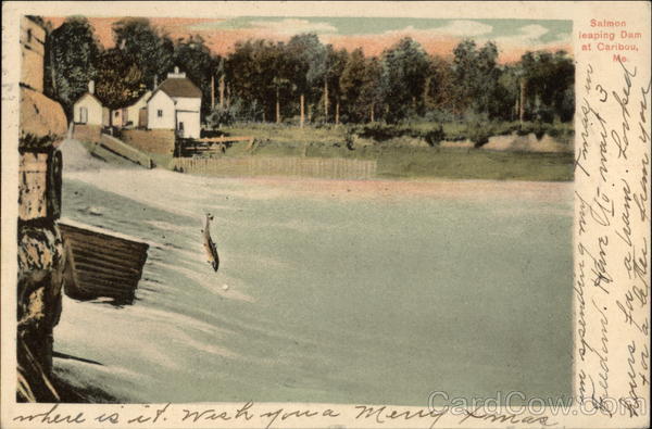 Salmon Leaping Dam Caribou Maine