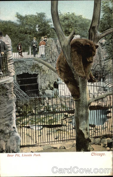 Bear Pit at Lincoln Park Chicago Illinois