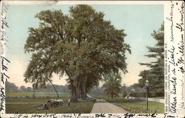 New England Views on Boston & Maine R.R., Noontime Lancaster Massachusetts