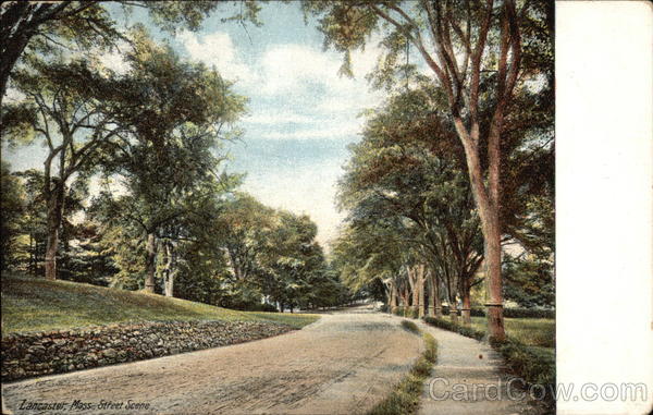 Looking up Street Lancaster Massachusetts