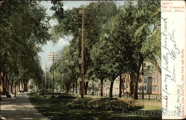 The Commons Lynn Massachusetts