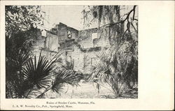Ruins of Braden Castle Manatee, FL Postcard Postcard