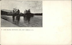 Loon Island - Newfound Lake East Hebron, NH Postcard Postcard