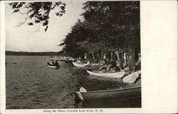 Along the Shore - Canobie Lake Park Salem, NH Postcard Postcard