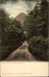 Eagle Cliff Franconia Notch, NH Postcard Postcard