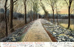 Road between St. Albans Bay and Creek Vermont Postcard Postcard