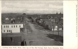 Looking from top of The Fair Savings Bank Store Escanaba, MI Postcard Postcard