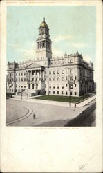 County Building View Postcard