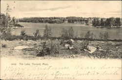 The Lake Harvard, MA Postcard Postcard