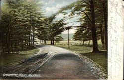 The Pines View Groveland, MA Postcard Postcard