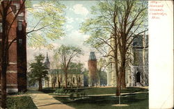 Harvard Grounds Postcard