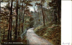 Torrey's Woods View Williamstown, MA Postcard Postcard