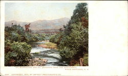 Mt. Washington & Mt. Jefferson from the Ammonoosuc White Mountains, NH Postcard Postcard