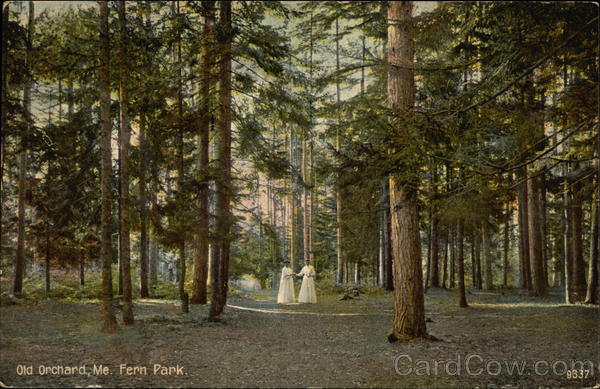 Fern Park Old Orchard Beach Maine