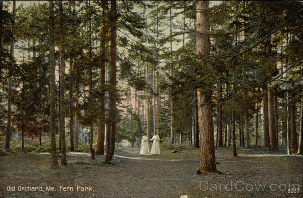 Fern Park Old Orchard Beach Maine