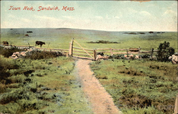 Town Neck View Sandwich Massachusetts