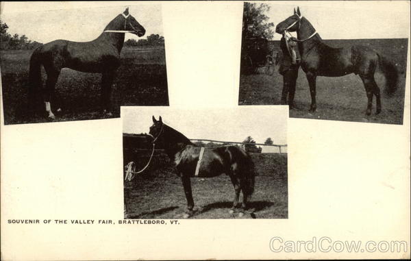 Souvenir of The Valley Fair Brattleboro Vermont