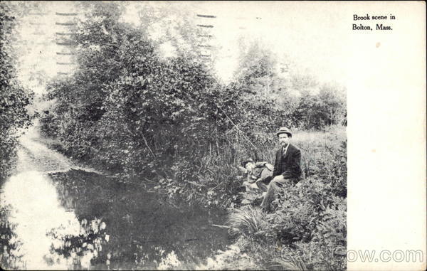 Brook Scene Bolton Massachusetts