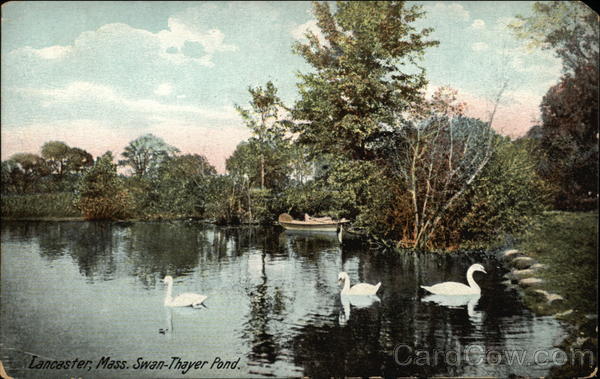 Swan-Thayer Pond Lancaster Massachusetts