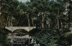 The New Bridge at Deerings Oaks Portland, ME Postcard Postcard