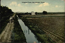 Irrigated Farm San Antonio, TX Postcard Postcard