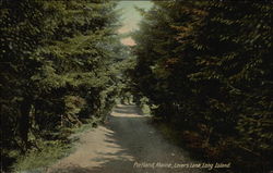 Stock #350053 Thumbnail