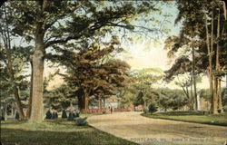 Scene in Deering Park Postcard