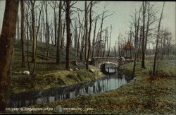 Bridge in Hamilton Park Postcard