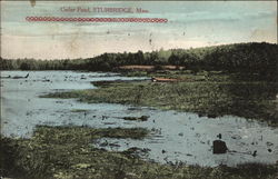 Cedar Pond Postcard