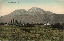 Mt. Shasta Mount Shasta, CA Postcard Postcard