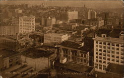 Bird's Eye View of Business Section Postcard