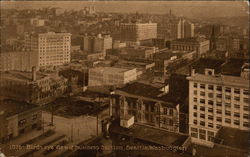 Bird's Eye View of Business Section Postcard