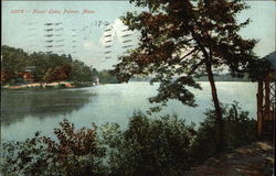 Forest Lake Palmer, MA Postcard Postcard