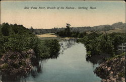 Still Water River, Branch of the Nashua Postcard