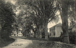 Street View Bolton, MA Postcard Postcard