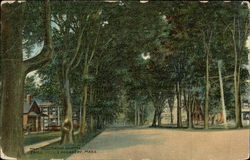 Main Street Looking North Postcard