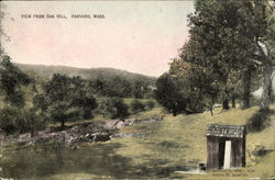 View from Oak Hill Postcard