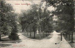 Common Grounds View Postcard