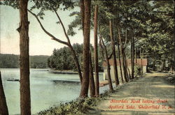 Silverdale Road looking South at Spofford Lake Postcard