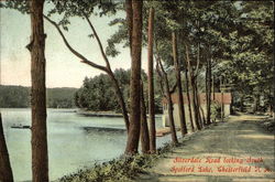 Silverdale Road looking South at Spofford Lake Chesterfield, NH Postcard Postcard