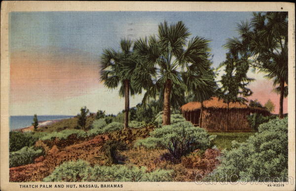 Thatch Palm and Hut Nassau Bahamas Caribbean Islands