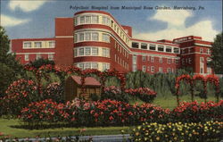 Polyclinic Hospital from Municipal Rose Garden Postcard