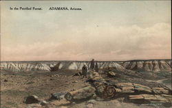 In the Petrified Forest Adamana, AZ Postcard Postcard