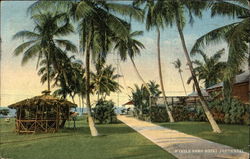 Myrtle Bank Hotel Grounds Postcard